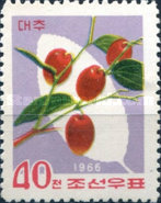 (1966-083) Марка Северная Корея "Зизифус настоящий"   Дикорастущие ягоды и фрукты III O