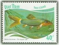 (1988-017a) Марка Вьетнам "Серебристый вьюн"  Без перфорации  Тропические рыбы III Θ