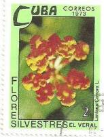 (1973-072) Марка Куба "Лантана сводчатая"    Полевые цветы III Θ