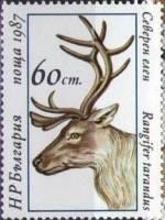 (1987-042) Марка Болгария "Северный олень"   Олени III Θ