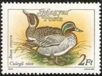 (1988-032) Марка Венгрия "Чирок-свистунок"    Дикие утки II Θ