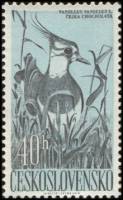 (1960-84) Марка Чехословакия "Чибис (Пигалица)"   Водоплавающие птицы I Θ