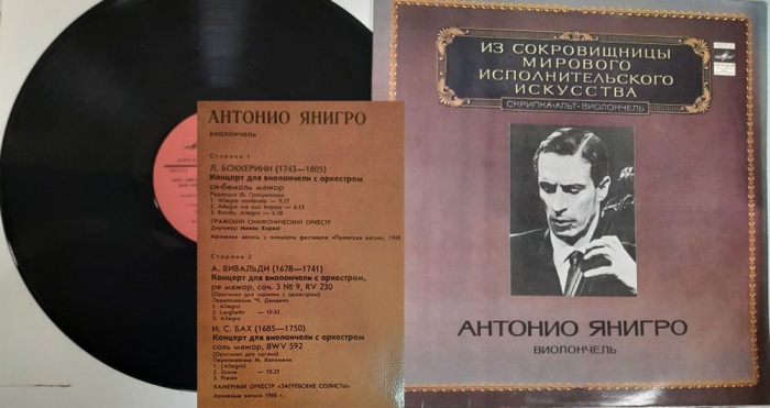 Пластинка виниловая , Исполнительское искусство Мелодия 300 мм. (Сост. отл.)