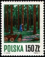 (1971-020) Марка Польша "Вырубка леса"    Лесное хозяйство II Θ