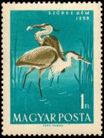 (1959-030) Марка Венгрия "Серая цапля"    Водоплавающие птицы II Θ