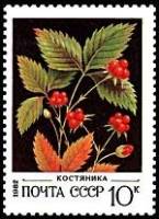 (1982-019) Марка СССР "Костяника"   Дикорастущие ягоды III O