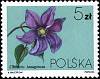 (1984-008) Марка Польша "Ломонос шерстистый"    Вьющееся растение III Θ