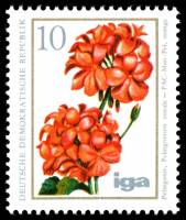 (1975-064) Марка Германия (ГДР) "Пеларгония "    Цветы III Θ