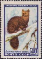 1957-036 Марка СССР Баргузинский соболь   Фауна II Θ