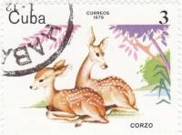 (1979-080) Марка Куба "Косуля"    Животные зоопарка III Θ