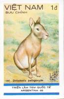 (1985-038) Марка Вьетнам "Патогонская мара"    Выставка марок Argentina`85 III Θ