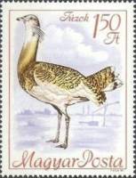 (1968-025) Марка Венгрия "Дрофа"    Конгресс Международного орнитологического совета по охране птиц 