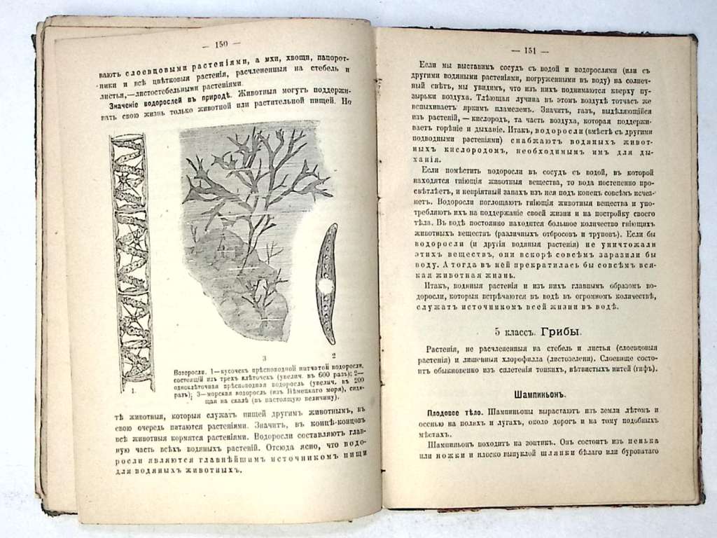 Книга Человек, животные и растения 1912 О. Шмейль Москва Твёрдая обл. 215 с. С цв илл