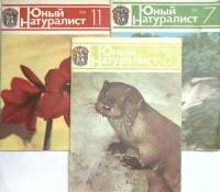 Журнал Юный натуралист 1981 № 3, 7, 11 Москва Мягкая обл. 150 с. С цв илл