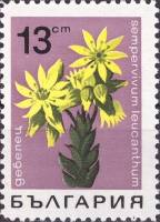 (1968-018) Марка Болгария "Молодило белоцветное"   Горные цветы II O
