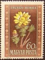 (1950-047) Марка Венгрия "Адонис весенний"    Флора Венгрии III Θ