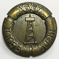 Значок Знак СССР "ТТБС ЛГИ ХХХ" На булавке 