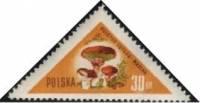 (1959-009) Марка Польша "Маслёнок"   Грибы II Θ