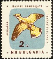 (1961-028) Марка Болгария "Рябчик"   Охрана природы. Птицы III Θ