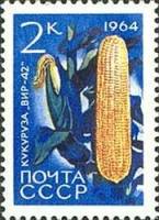 1964-088 Марка СССР Кукуруза ВИР-42 Перф. рам. 11½   Сельскохозяйственные культуры III Θ
