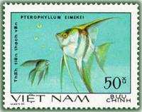 (1981-006a) Марка Вьетнам "Скалярии"  Без перфорации  Декоративные рыбки III Θ