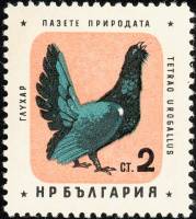 (1961-023) Марка Болгария "Глухарь"   Охрана природы. Птицы III Θ