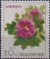 (1974-046) Марка Северная Корея "Ароматная роза"   Розы III Θ