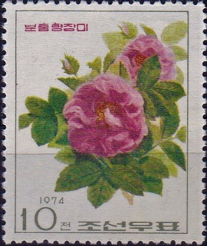 (1974-046) Марка Северная Корея &quot;Ароматная роза&quot;   Розы III Θ