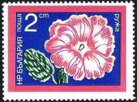 (1974-045) Марка Болгария "Алтей"    Садовые цветы III Θ