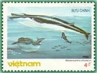 (1985-088) Марка Вьетнам "Финвал"    Морские животные III Θ