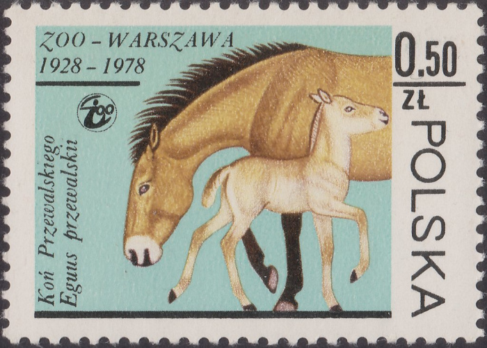 (1978-047) Марка Польша &quot;Лошадь Пржевальского&quot;    50 лет Зоопарку Варшавы II Θ