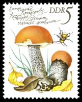 (1980-082) Марка Германия (ГДР) "Подберёзовик обыкновенный"    Грибы III Θ