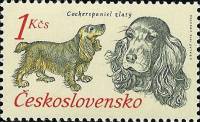 1973-042 Марка Чехословакия Кокер спаниель   50 лет Чехословатскому охотничьему делу III O