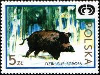(1973-023) Марка Польша "Кабан"    Дикая природа III O