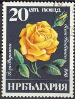 (1985-056) Марка Болгария "Роза Радиман"   Розы III O