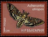 (1975-063) Марка Болгария "Бражник"    Насекомые (сумеречные бабочки-бражники) III Θ