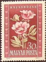 (1950-045) Марка Венгрия "Пион лекарственный"    Флора Венгрии III Θ