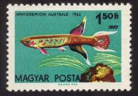 (1962-012a) Марка Венгрия "Южный афиосемион"    Декоративные рыбки III Θ