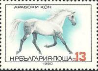 (1980-101) Марка Болгария "Домашняя лошадь"   Породы лошадей III Θ