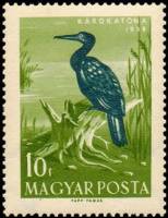 (1959-025) Марка Венгрия "Большой баклан"    Водоплавающие птицы II Θ