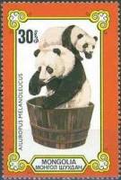 (1977-073) Марка Монголия "Купание панды"    Панды, или бамбуковые медведи II Θ