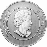 () Монета Канада 2011 год 20 долларов ""   PROOF