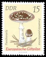 (1974-030) Марка Германия (ГДР) "Мухомор пантерный"    Ядовитые грибы III Θ