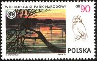 (1976-025) Марка Польша "Серая неясыть "    Великопольский Национальный парк III O