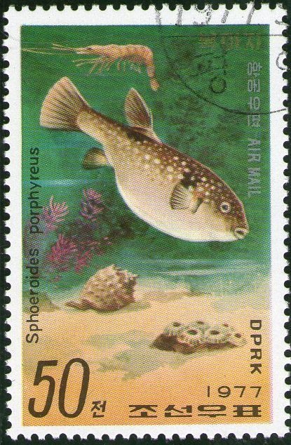 (1977-088) Марка Северная Корея &quot;Фугу&quot;   Морские улитки и рыбы III Θ