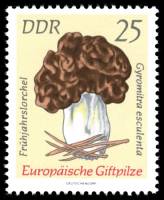(1974-032) Марка Германия (ГДР) "Строчок обыкновенный"    Ядовитые грибы II Θ
