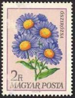 (1968-082) Марка Венгрия "Астра ромашковая"    Садовые цветы III Θ