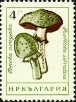 (1961-072) Марка Болгария "Шампиньон лесной"   Грибы (1) II Θ