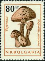 (1961-076) Марка Болгария "Гриб-зонтик пёстрый"   Грибы (1) III Θ