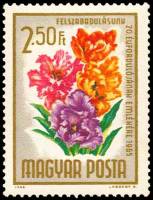 (1965-031) Марка Венгрия "Тюльпан"    20-я годовщина освобождения. Букеты цветов III Θ